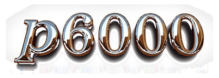 p6000 logo